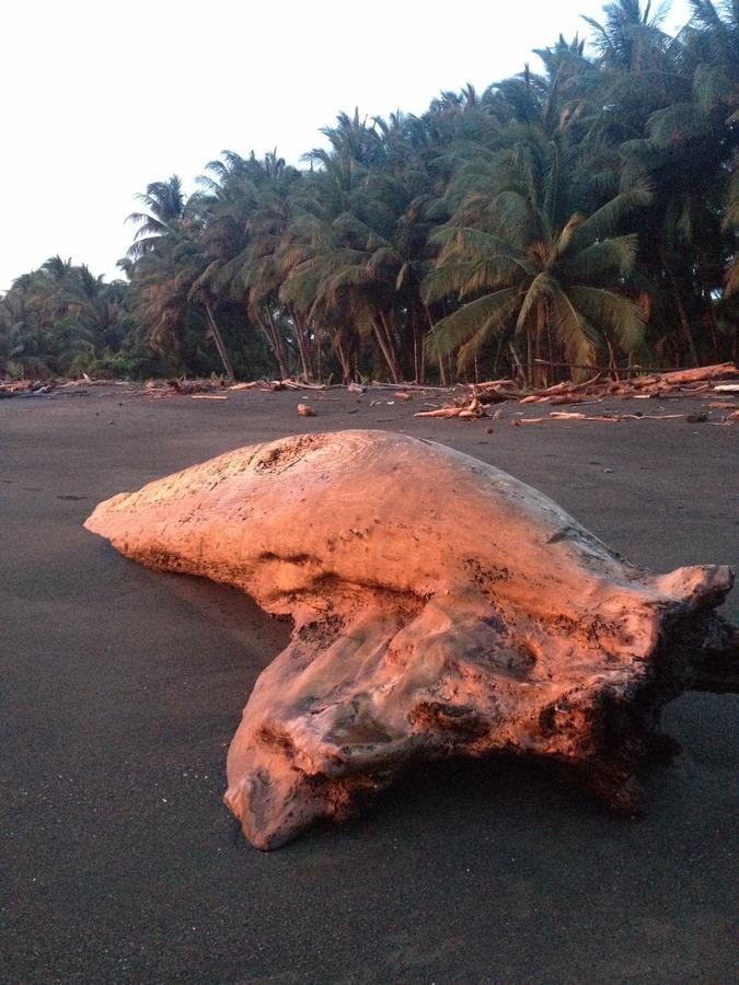 Cabinas Sol Y Mar Zancudo المظهر الخارجي الصورة